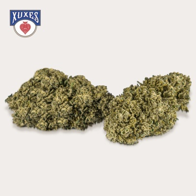 Duas flores de cannabis secas verdes e castanhas com logotipo XUXES no canto