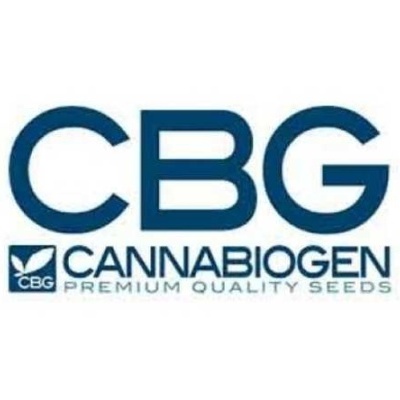 Logotipo CBG CANNABIOGEN PREMIUM QUALITY SEEDS em azul escuro sobre fundo branco.