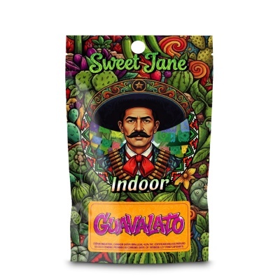 Embalagem colorida com ilustração de homem mexicano e textos Sweet Jane Indoor e Guavalato