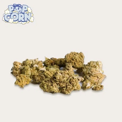 Flores secas castanhas esverdeadas com texto POP CORN azul e branco