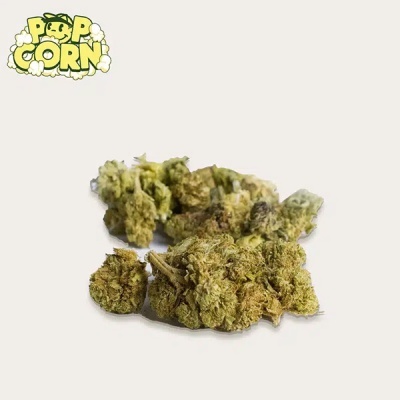 cachos verdes secos sobre fundo branco com texto POP CORN amarelo