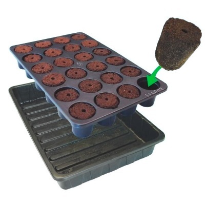 Tabuleiro de cultivo com discos de substrato e tabuleiro retangular