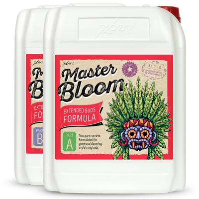Duas garrafas brancas com etiqueta colorida Master Bloom e ilustração tribal