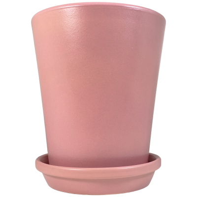 Vaso de planta rosa com prato de apoio