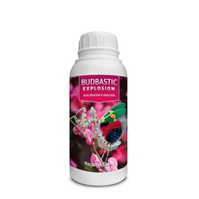 Frasco branco com etiqueta rosa e imagem de joaninha e borboleta em flores rosas