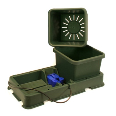 Caixas de cultivo de plástico verde escuro com divisórias e componente azul.