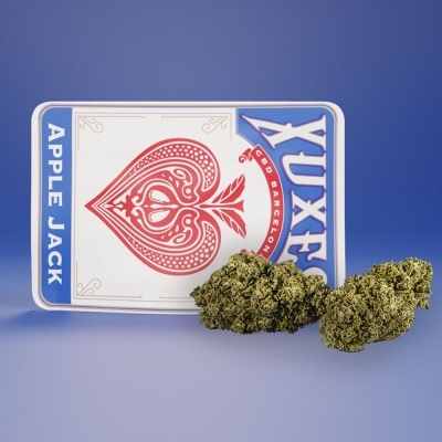 Caixa com design de carta e dois cachos verdes ao lado