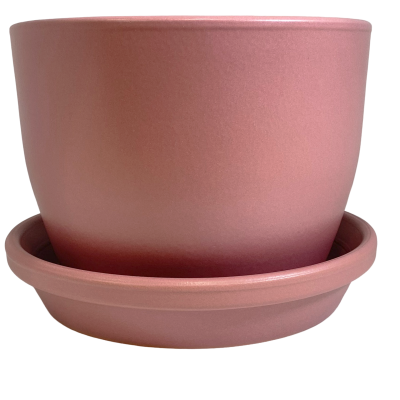 Vaso de planta cor de rosa com pratinho em fundo preto