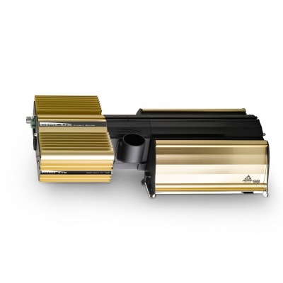 Componentes eletrónicos metálicos dourados e pretos com inscrição 'BEHRINGER'.