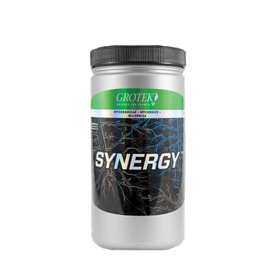 Frasco branco com tampa preta e rótulo verde e preto do produto SYNERGY da marca GROTEK