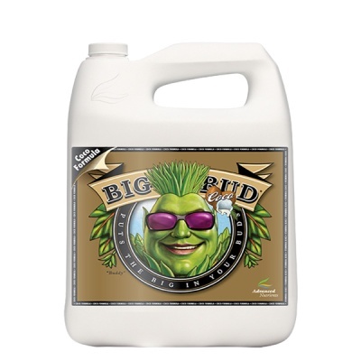 Recipiente branco com rótulo de produto Big Bud Coco e imagem caricata de planta com óculos