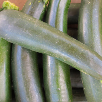 Curgetes frescos verdes escuros com textura lisa