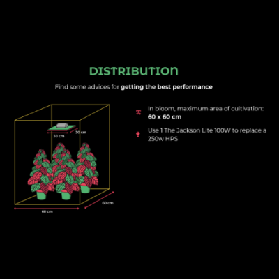 Diagrama de distribuição de plantas em área de cultivo com texto de instruções em inglês