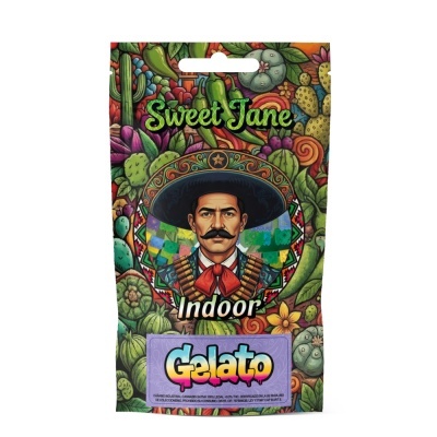 Embalagem colorida de produto com ilustração e texto Gelato