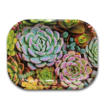 Tabuleiro oval com padrão colorido de plantas suculentas
