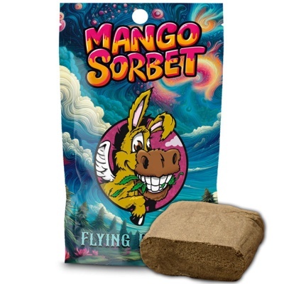 Pacote colorido MANGO SORBET com burro amarelo sorridente e bloco marrom ao lado