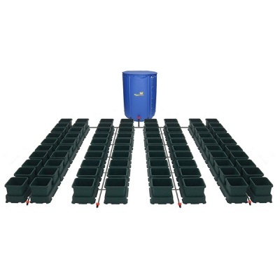 Conjunto de vasos pretos e reservatório azul para rega