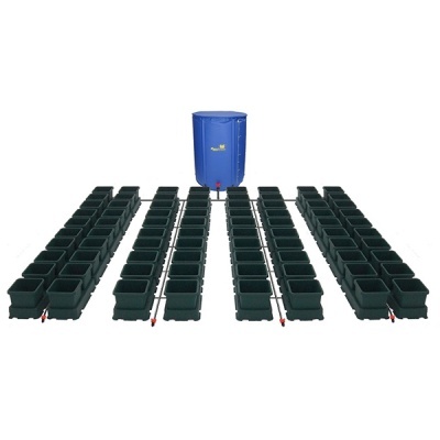 Sistema de cultivo com vasos quadrados pretos e reservatório azul com texto Flexi