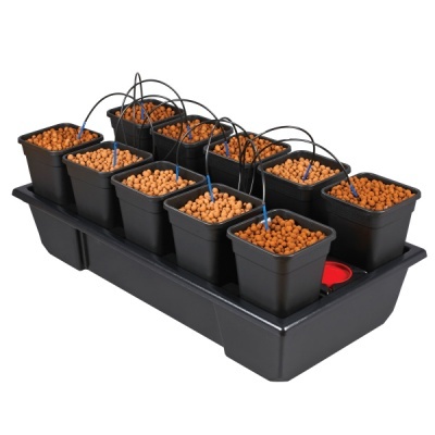 Sistema de cultivo hidropónico com 10 vasos pretos e bolas de argila expandida.