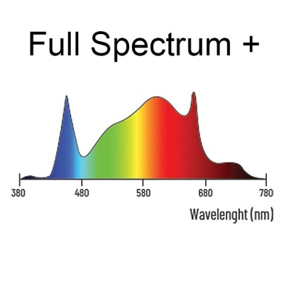 Gráfico de espectro colorido de Full Spectrum + com eixo de comprimento de onda em nm