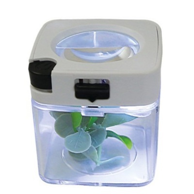 Caixa transparente com lente de aumento e folhas verdes artificiais no interior