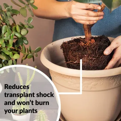 Mão a transplantar planta para vaso bege de plástico com padrão floral.