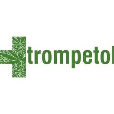 Logótipo com cruz verde decorada com folhas e texto trompetol em verde