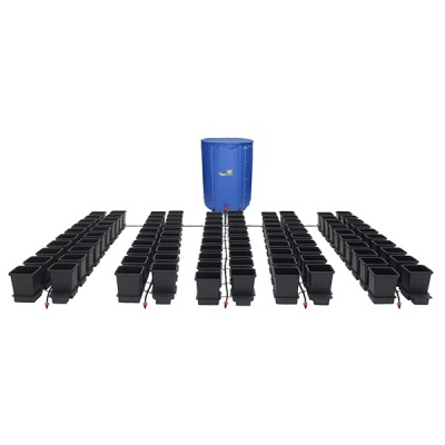 Sistema de cultivo hidropónico com reservatório azul e vasos pretos em filas