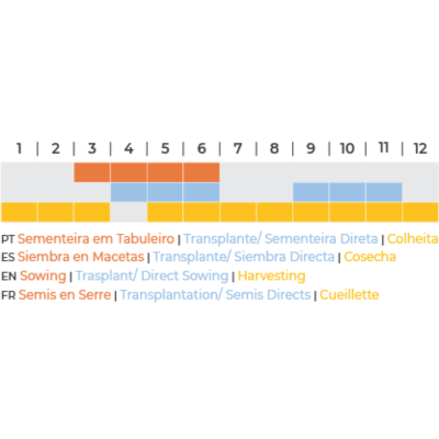 Calendário agrícola com atividades e legendas em quatro idiomas