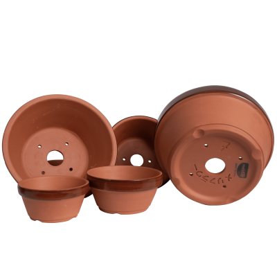 Conjunto de vasos de plantas em terracota com etiqueta e número 7