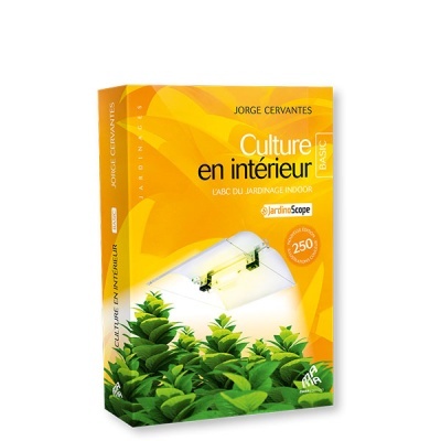 Capa de livro amarelo com plantas verdes e luminária, texto Culture en intérieur BASIC, Jorge Cervantes
