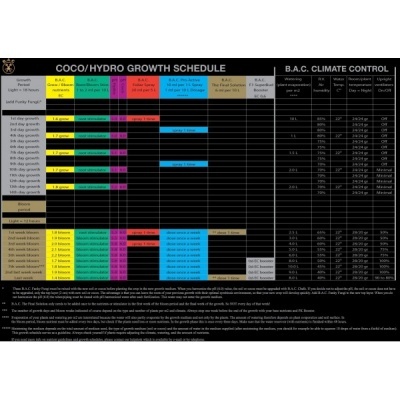 Tabela de programa de crescimento COCO/HYDRO com colunas de B.A.C., controle climático e fases de crescimento