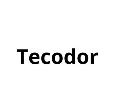 Palavra Tecodor a preto em fundo branco