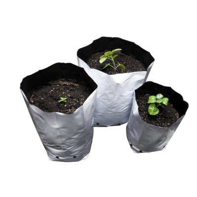 Três sacos de cultivo com plantas pequenas