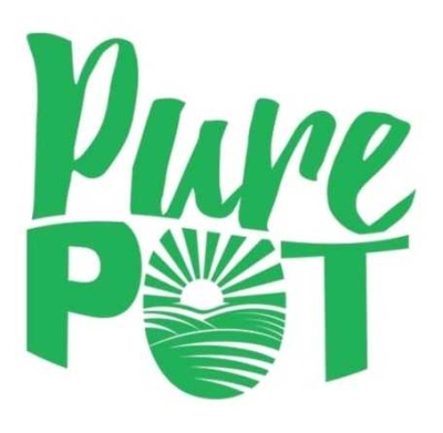 Logo verde com texto Pure POT e sol nascente estilizado