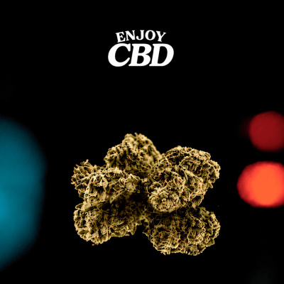 Botões de cannabis seca com texto ENJOY CBD em fundo preto