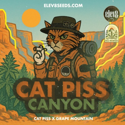 Ilustração de gato explorador em embalagem com texto CAT PISS CANYON