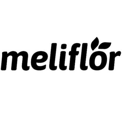 Logótipo preto meliflór com folhas acima da letra ó