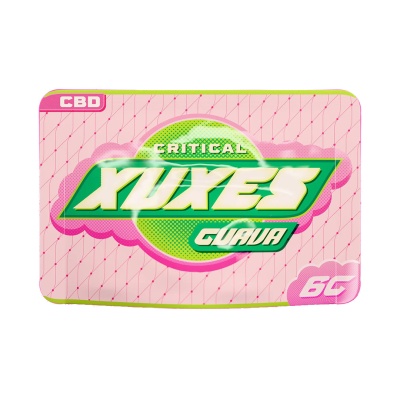 Estojo retangular rosa e verde com texto Critical Xuxes Guava CBD 6G