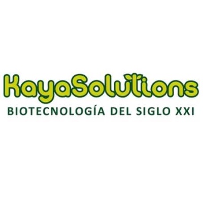 Logótipo KayaSolutions com texto em espanhol