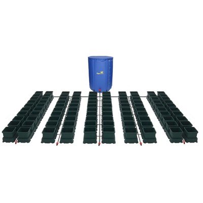 Sistema de cultivo com reservatório azul e vasos pretos ligados por tubos.