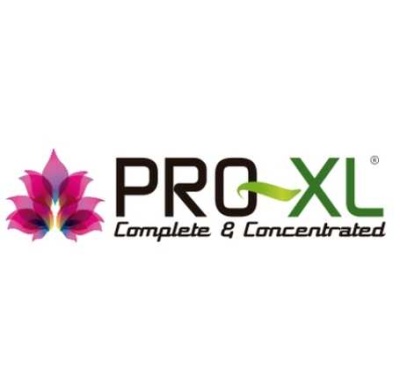 Logótipo PRO XL Complete & Concentrated com folha verde e figura floral colorida