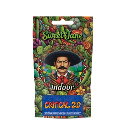 Embalagem colorida com índio mexicano, texto Sweet Jane Indoor Critical 2.0 e padrão de cactos e flores