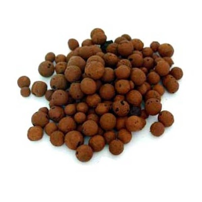 Bolas pequenas castanhas com textura irregular sobre fundo branco