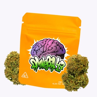 Embalagem laranja para produto com ilustração de cérebro roxo e texto AMNESIA 1.7 com três cachos de cannabis à volta