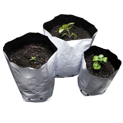Três sacos de cultivo com plantas jovens em terra preta