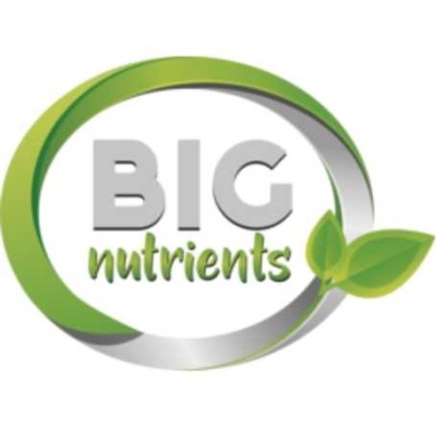 Logótipo BIG nutrients com folhas verdes e contorno oval