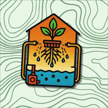 Ilustração de um sistema de cultivo hidropónico numa estufa com planta e raízes visíveis