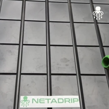 Painéis solares com etiqueta NETADRIP e estrutura metálica preta