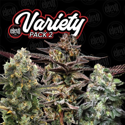 Três cachos de plantas floridas em fundo preto com texto Variety Pack 2 e logo elev8